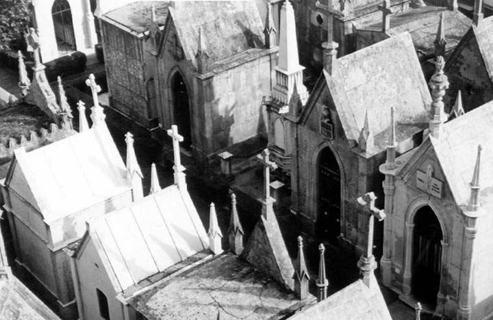 Lapa cemetery - Porto