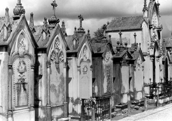 Conchada cemetery - Coimbra